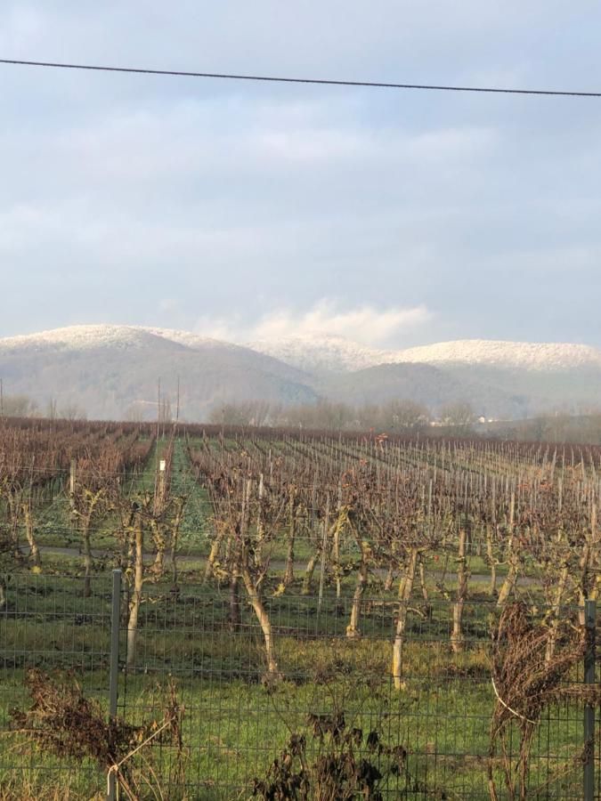 Valley Ferienwohnung Suew Heuchelheim-Klingen Exterior photo