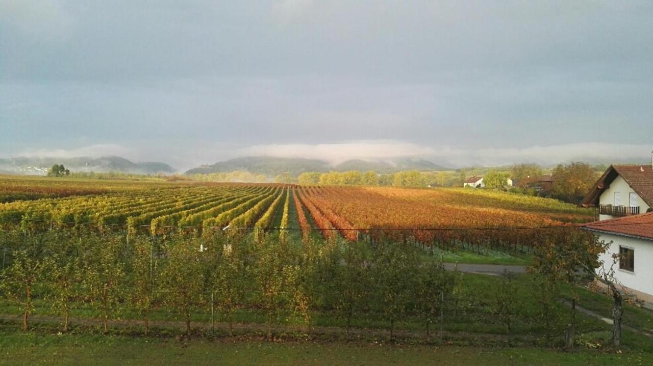 Valley Ferienwohnung Suew Heuchelheim-Klingen Exterior photo